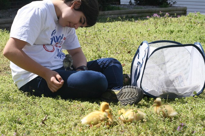 Maya Posh and the Ds